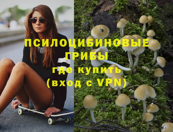 соль ск Абдулино