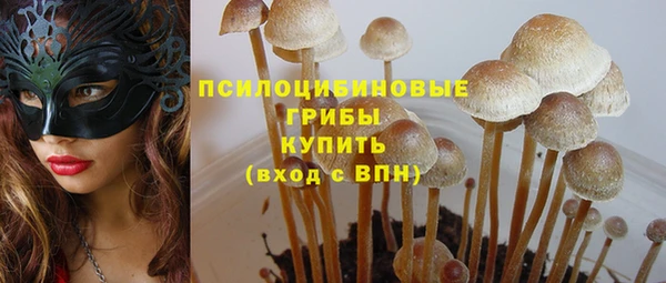 соль курить ск Абаза