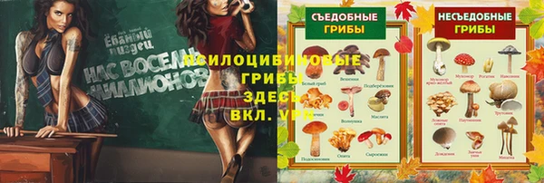 соль ск Абдулино