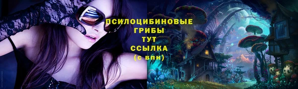 соль ск Абдулино