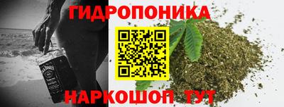 МДПВ Брянск