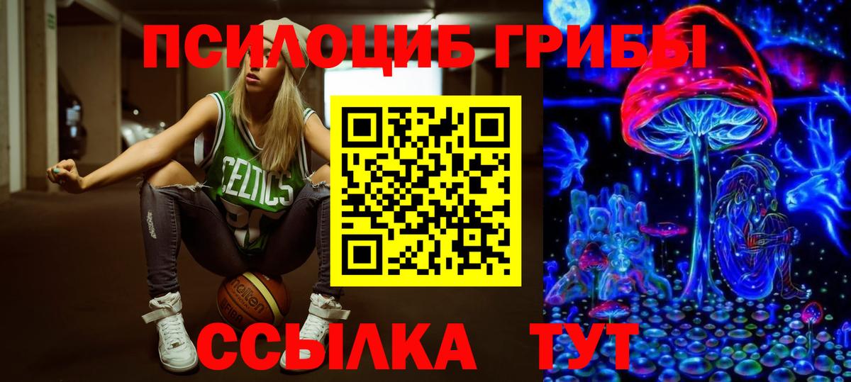Псилоцибиновые грибы Стерлитамак